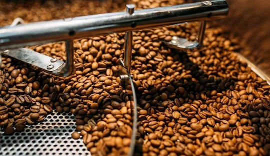 Ingagi Kaffee Gold Jungle Blend Ganze Bohnen Kaffee 1kg