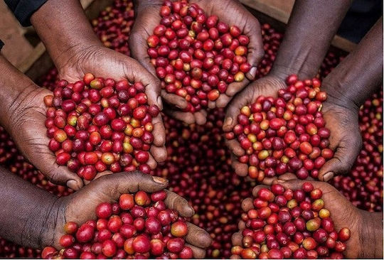 Rwanda Muhabura Funky Anaerobic Еспресо Кафе Зърна 400g