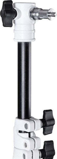 Glareone Studio-Stativ Stork 225
