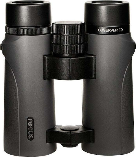 Focus Optics Ochelari de vedere 8x42mm