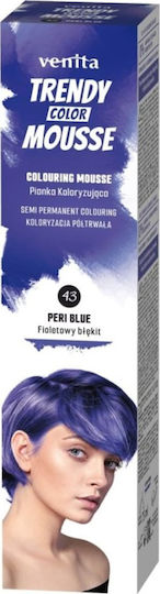 Venita Hair Dye 43 Purple Fantasy 75ml