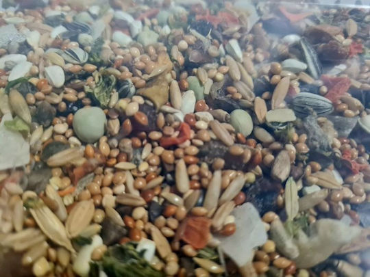 Vitapol Vitaline Vollständiges Vogelfutter Für Mönchs- und Andere Mittelgroße Papageien 2,2 kg