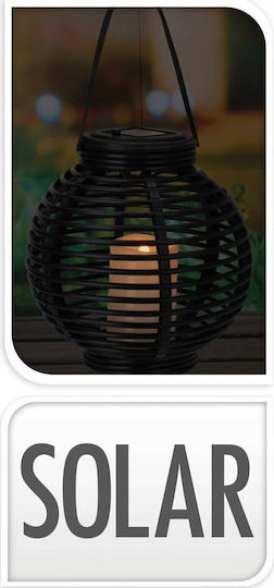 Progarden Solar Light Traffic light 21cmx21cmcm