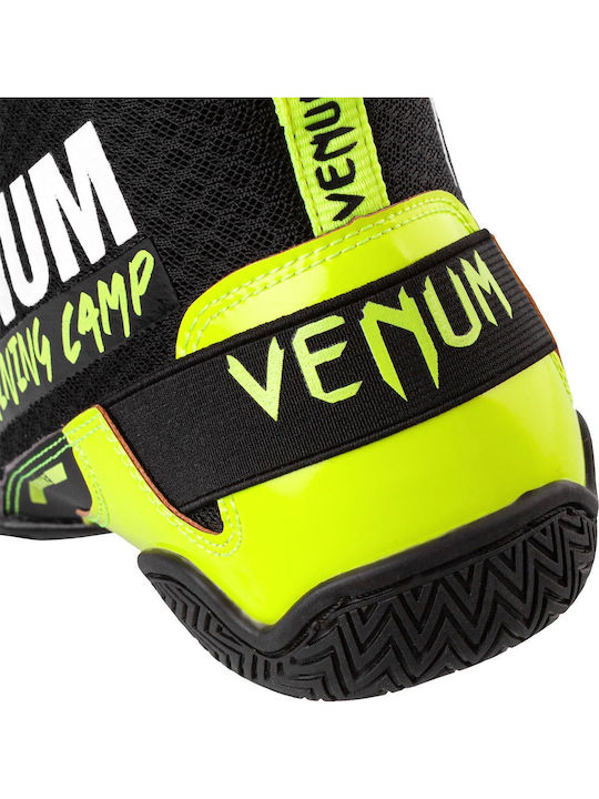 Venum Pantofi de box Negri
