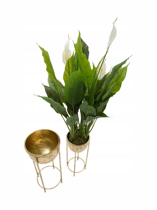 Mauro Ferretti Planter Gold with Stand