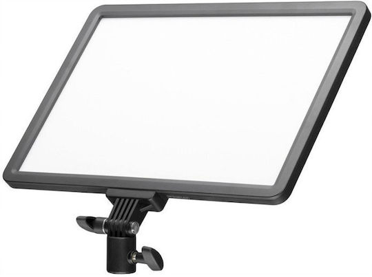 Glareone Trust LED-Panel