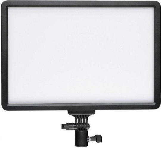 Glareone Trust LED-Panel