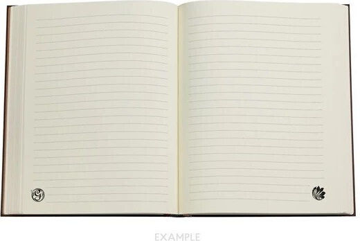 Paperblanks Midi Notebook B6 Ruled Multicolour