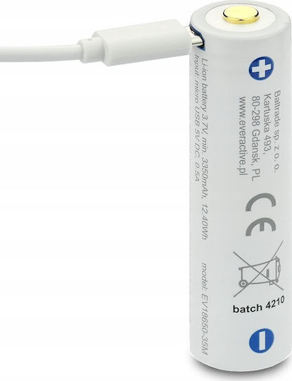everActive Wiederaufladbare Batterie 18650 Li-Ion 3500mAh 3.7V 1Stück