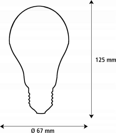 Segula Λάμπα LED 6.5W για Ντουί E27 και Σχήμα A67 Θερμό Λευκό 550lm Dimmable