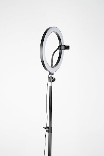 Havit ST7012 Lumină Inelară 26cm cu Trepied de Pardoseală și Suport pentru Telefon