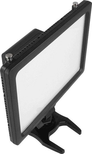 Newell Lumina naturală