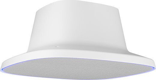 AVer Boxă De Tavan Cu Bluetooth Bucată Gri