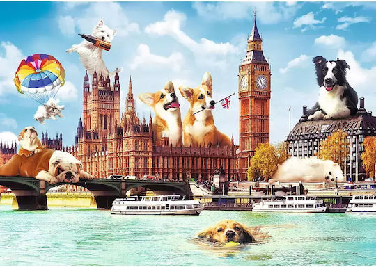 Puzzle 2D 1000pcs