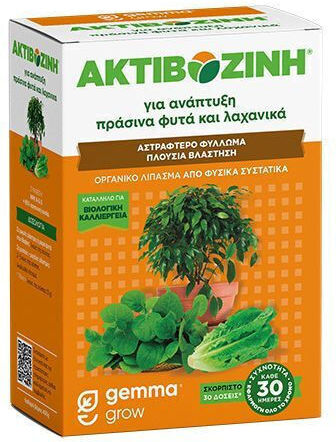 Gemma Activozine Granular Fertilizer Activazine for Green Plants, Fruitful 2kg
