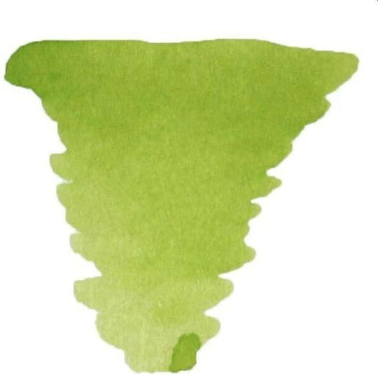 Diamine 80ml Spring Green Fountain Pen Ink Bottle 700987828191