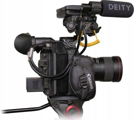 Deity Cable XLR male - 3.5mm male Κίτρινο 0.3m (DY-V-LINK)