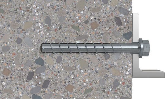 Fischer Technik Șurub cu Diametru M14 și Lungime 210mm 10buc