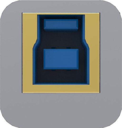 iFi Audio iPurifier2 Type A DAC με Είσοδο USB Γκρι
