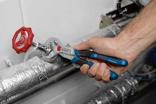 Bosch Γκαζοτανάλια 250mm