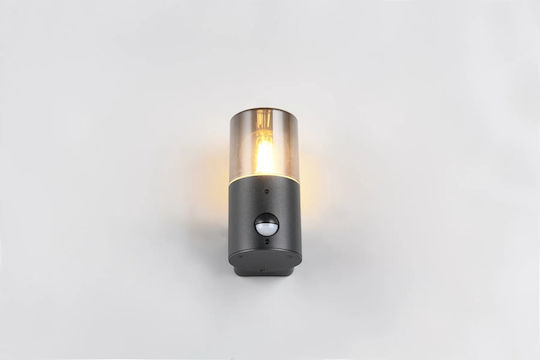 Trio Lighting Modern Lamp Wall with Socket E27 Black 8x8cm