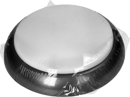 Orno Wall-Mounted Outdoor Ceiling Light E27 IP44