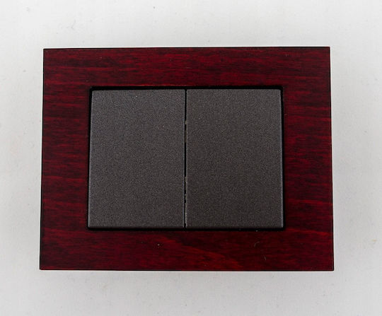 Black Xp500 Switch P510-020-12 V