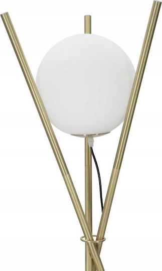 Mauro Ferretti Floor Lamp