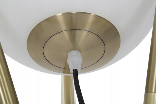 Mauro Ferretti Floor Lamp