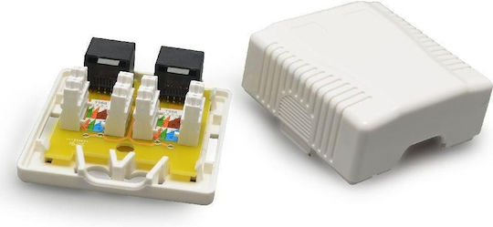 Gembird Doppelter Netzsteckdose RJ45 mit Rahmen Typ Cat5 in Weiß Farbe NCAC-2F5E-01