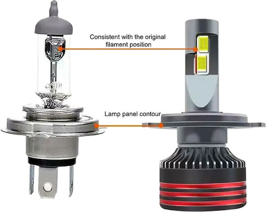 Conpex Λάμπες Αυτοκινήτου H8 Canbus LED 6000K Ψυχρό Λευκό 12V 2τμχ