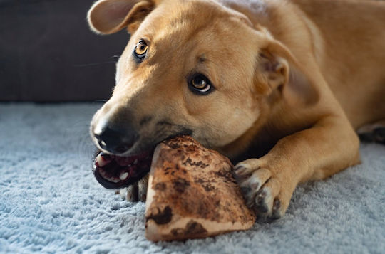 4Dogs Biscuit Dog Small & Medium Breeds 225gr