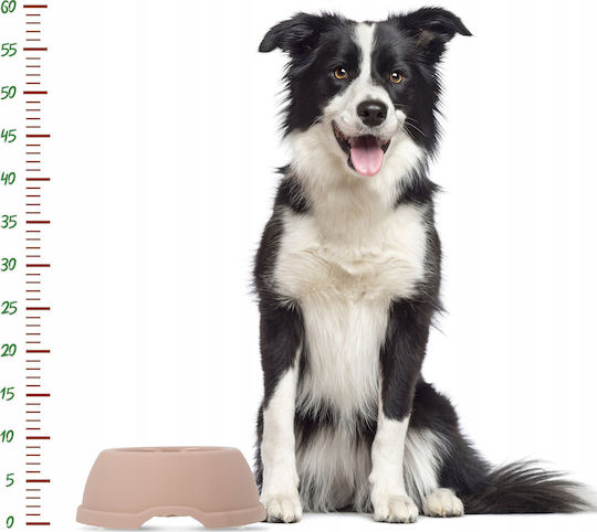 Barry King Plastic Bowl Food for Dog 1.3lt 24.5cm in Beige Color