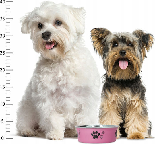 Barry King Metallic Bowl Food for Dog & Cat with Base 300ml 10.5cm in Pink Color
