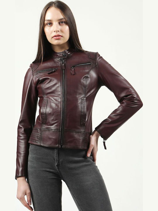 Jacket Club