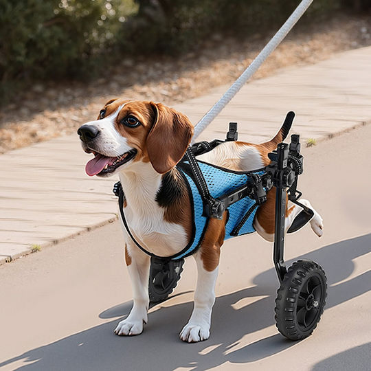 Dog Wheelchair Vevor Rear Legs Adjustable Pet Wheelchair 2 Wheels Lightweight Dog Cart Shock Absorbing Wheels Mobility Support Cart Disabled Injured Dogs Up To 10kg Small