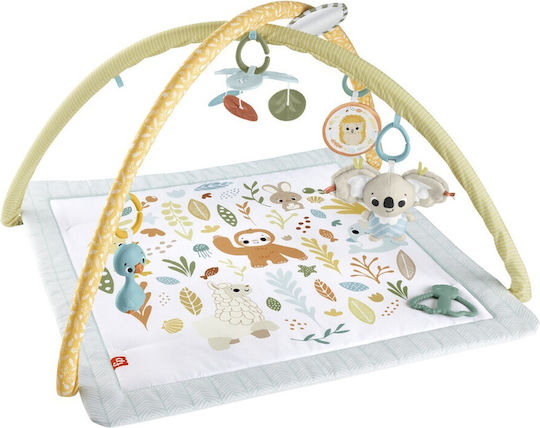 Fisher Price Χαλάκι Δραστηριοτήτων για Νεογέννητα