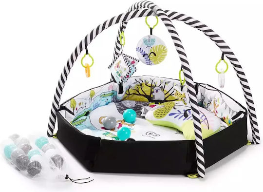 Kinderkraft Activity Gym for Newborns