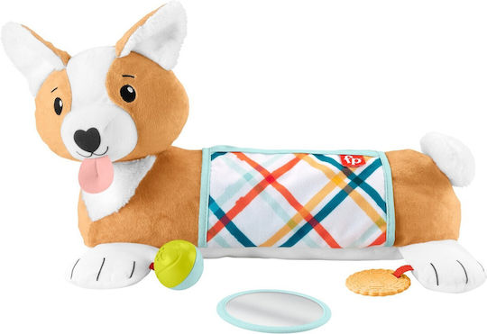 Fisher Price Perna De Timp Tummy Time Pentru Nou-Născuți