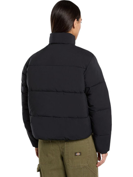 Dickies Dickies
