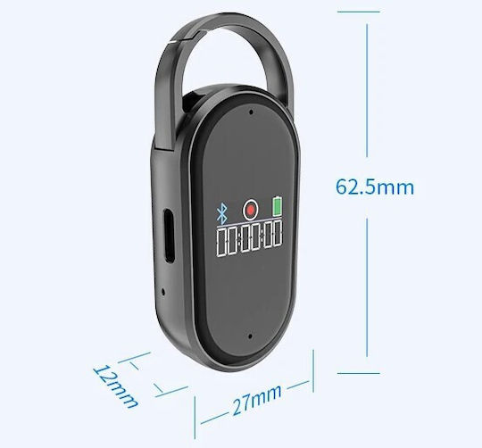 JnN Surveillance Bug Capacity 64GB