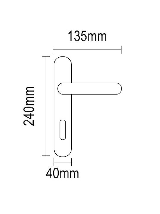 Viometale Middle Door Lever Plate Pair Matte Gold Viometale Middle Door Lever Plate Pair Matte Gold