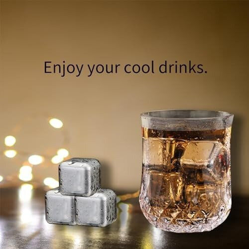 Stainless Steel Metal Ice Cubes Plastic Case Set of 6 Pieces