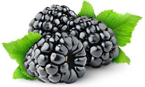 Net Professional Uleiuri Aromatice 1200Ekn Black Raspberry 100ml