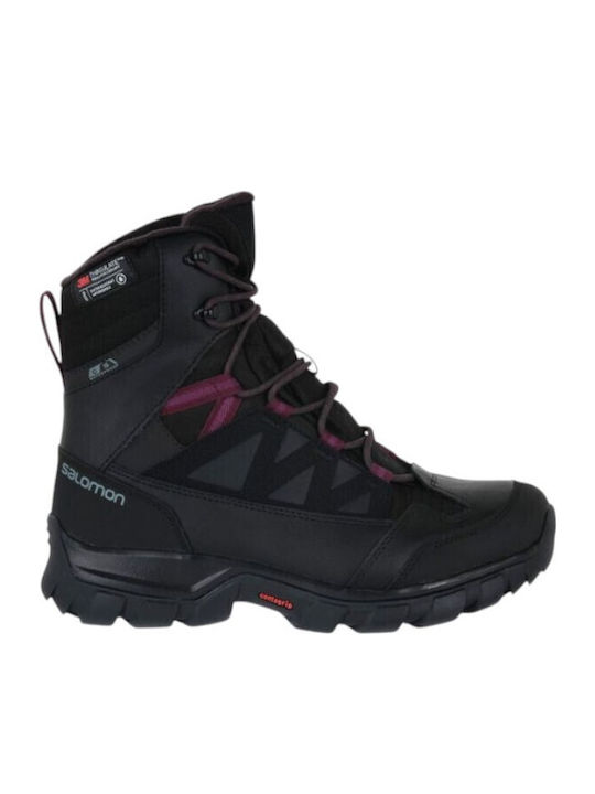 Salomon