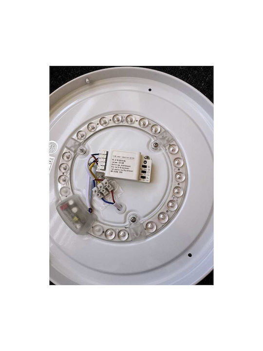 Lightplanet Φωτιστικό Τοίχου LED 32εκ.