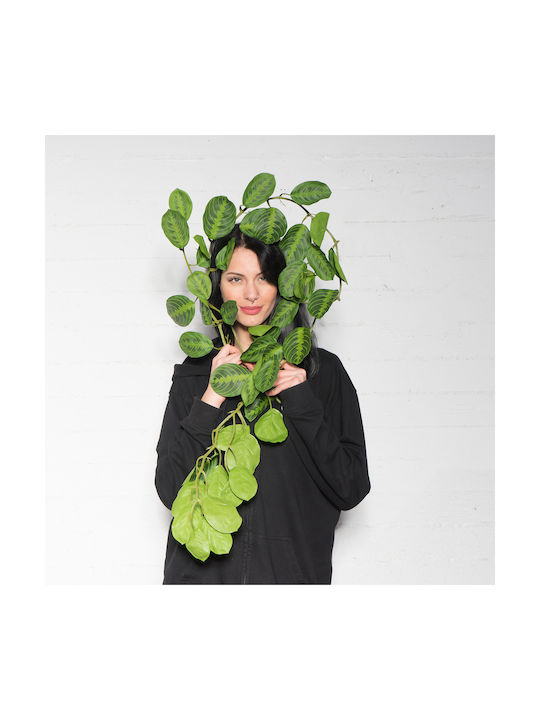 Dekorative Girlande Calathea 170cm Supergreens