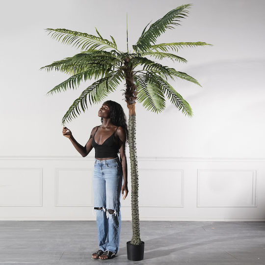 Supergreens Artificial Robellini Palm Tree Green 300 cm