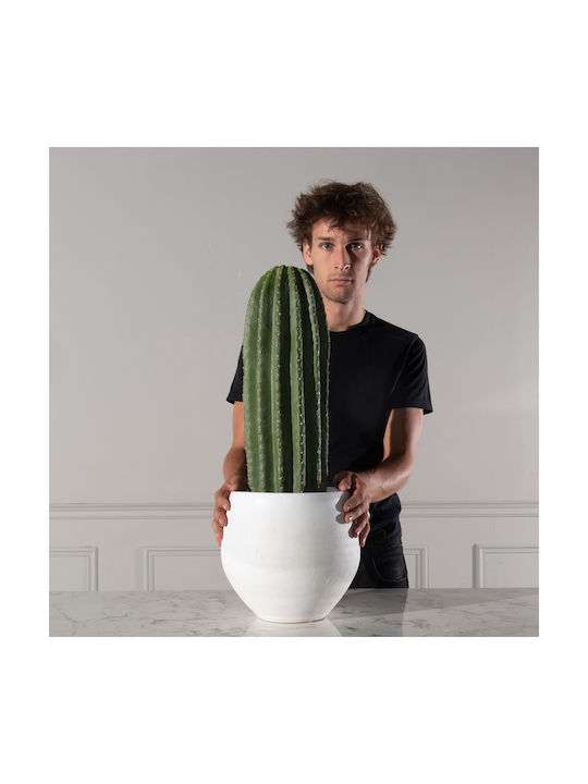 Κάκτος σε Γλάστρα 60cm Supergreens