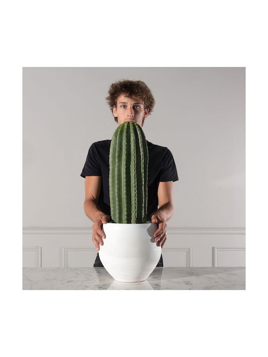 Κάκτος σε Γλάστρα 60cm Supergreens